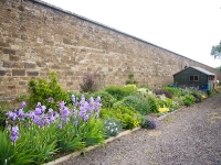 amisfield-june-1-2011-005-2