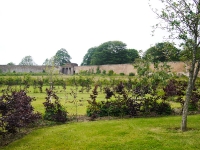 amisfield-june-1-2011-007-2