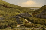 glenfinart_and_loch_long_ardentinny